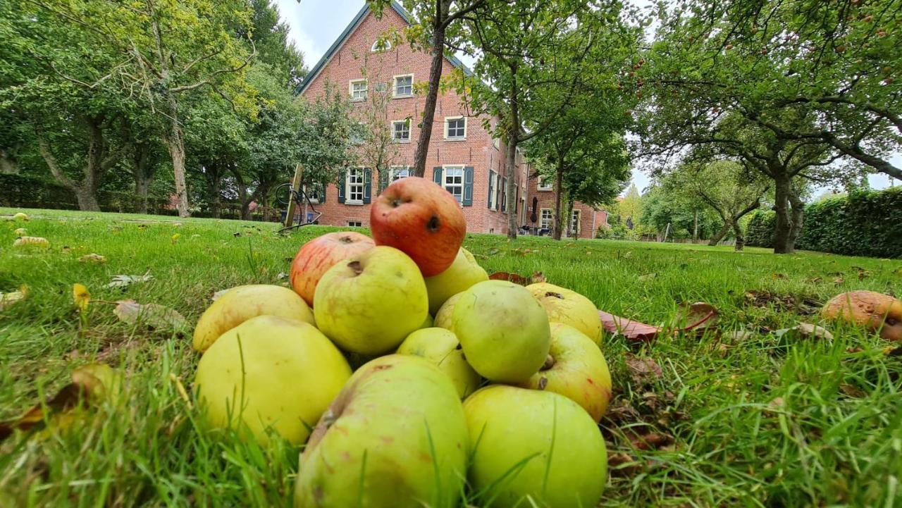 Gulfhof Boomgaarden Boomgaarden 16 Albert Krummhörn Exteriör bild